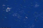 Более 2000 морских хищников собрались у побережья США
