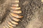 В Польше ожерелье из зубов пролежало в земле 5 тысяч лет