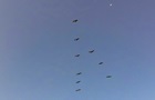 В Литве по ошибке объявили тревогу из-за стаи птиц
