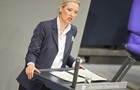 Немецкая AfD подтвердила переговоры с РФ по газу