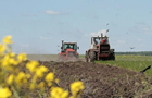 В Україні озимими зерновими засіяли понад 740 тис. га