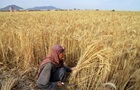Росія не може домовитися з Талібаном про робітників