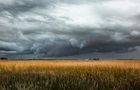 В Україну прийдуть дощі та заморозки