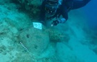 В Турции обнаружили корабль возрастом до 4700 лет