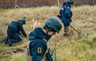 АМКУ выявил сговор на торгах по гуманитарному разминированию