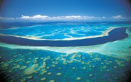 Австралия представила план спасения Барьерного рифа