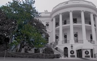 Мелания Трамп решила спилить 200-летнюю магнолию на лужайке Белого дома
