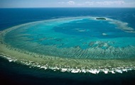 На восстановление Большого Барьерного рифа выделят $380 млн