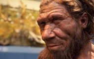Ученые вырастят мозг неандертальца