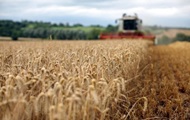 В США ожидают рекордный урожай зерновых в Украине