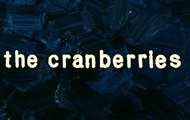  The Cranberries   