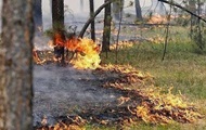 ГСЧС объявила чрезвычайный уровень пожароопасности
