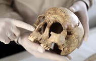 Найдены останки, поставившие под сомнение процесс эволюции