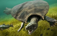 Найдены останки гигантской древней черепахи