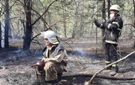 На Житомирщині загасили ще одну лісову пожежу