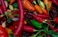 Медики назвали снижающий риск смерти на 25% продукт