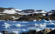 Unique discovery: plant remains found in Greenland