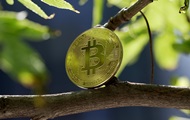 In El Salvador, the authorities will distribute bitcoins to residents