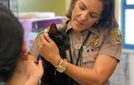 A live cat was found under the rubble of a house in Miami