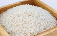 First crop of “space rice” harvested in China