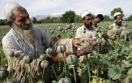 Taliban vows to end drug production in the country