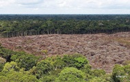 An unprecedented drought hits the jungle of the Amazon