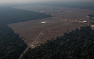 The world has agreed not to cut down the forest.  Results of the UN summit