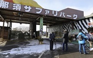 In a Japanese safari park, a tiger attacked people