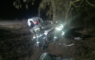 На Одещині авто врізалося в дерево, загинули двоє людей