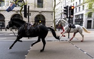 В центре Лондона военные лошади ранили четырех человек