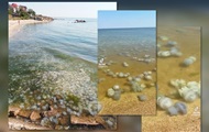 Ситуация в Азовском море близка к экологической катастрофе - ЦПД
