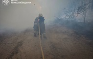 В Николаевской области выгорело 93 гектара территории