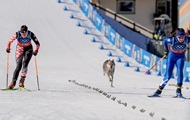 Пес стал участником женского кросса на Олимпиаде