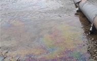 Загрязнение Днестра: в Молдове нашли новые нефтяные пятна и мертвых птиц