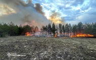 Лісові пожежі вирують у чотирьох областях - ДСНС