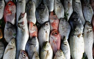 РФ запретила ввоз рыбы и рыбной продукции из Армении