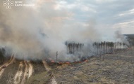 В Харьковской области горит 150 гектаров леса