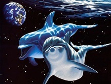 Дельфин-бутылконос спас выбросившихся на берег китов