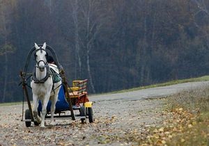 Прогноз погоды на пятницу, 29 октября