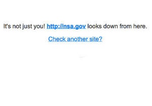 Сайт, що стежить за інтернетом американської спецслужби, перестав працювати