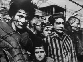 СМИ: Еврейской организации запретили рассказывать львовским школьникам о Холокосте