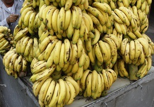 В Одесской области СБУ пресекла контрабанду более тысячи тонн бананов