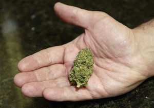 Марихуана - Уругвай станет первой страной, где можно легально выращивать марихуану