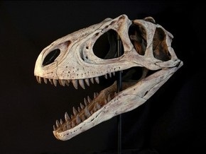 Ученые: Причиной массового вымирания динозавров стали водоросли