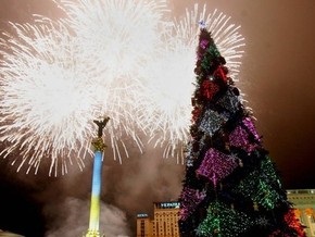 Елка на Майдане обойдется столице в 1,2 миллиона