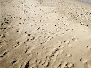 На пляже Азовского моря обнаружили радиоактивный песок
