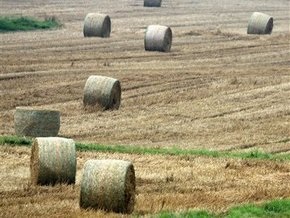 Кабмин повысил вдвое минимальную плату за сельскохозяйственные земли
