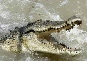 Крокодилы-бегемоты: В Нигерии после наводнения деревни заселили дикие животные