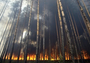 Площадь пожаров в Сибири за сутки увеличилась в пять раз