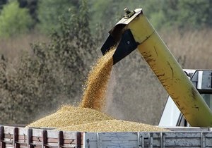 Таможня отвергает обвинения в препятствовании экспорту зерна
